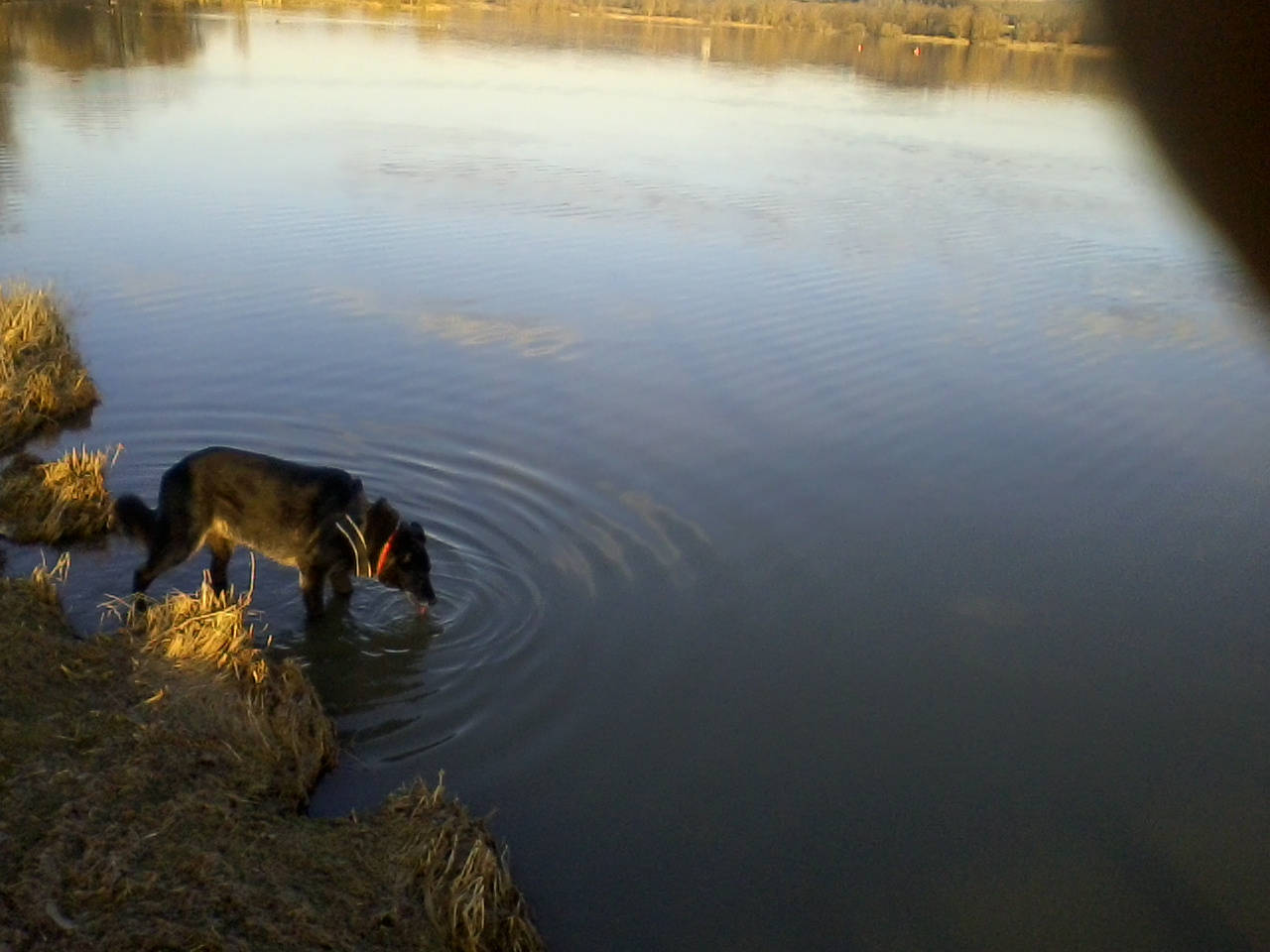 Durst!.jpg (1280 x 960)